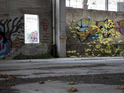 ...e l'interno sembra essere tuttora frequentato: sui muri spiccano graffiti dai colori ancora vivaci, segno che sono stati disegnati da poco...